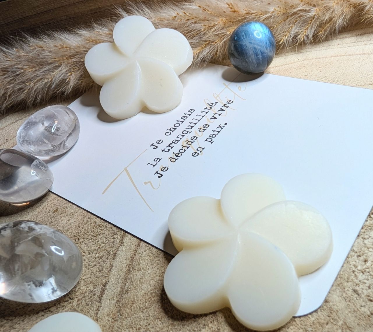 Mini Fondant - Soleil d'été | EDITION LIMITEE