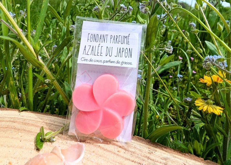Mini Fondant - Azalée du Japon