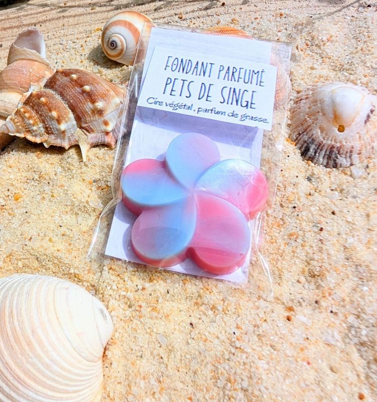 Mini Fondant - Pets de singe