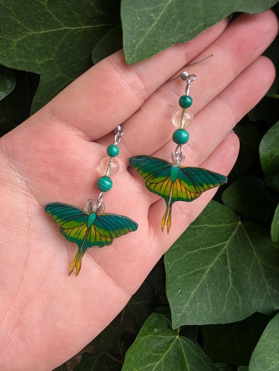 Papillon Moth vert