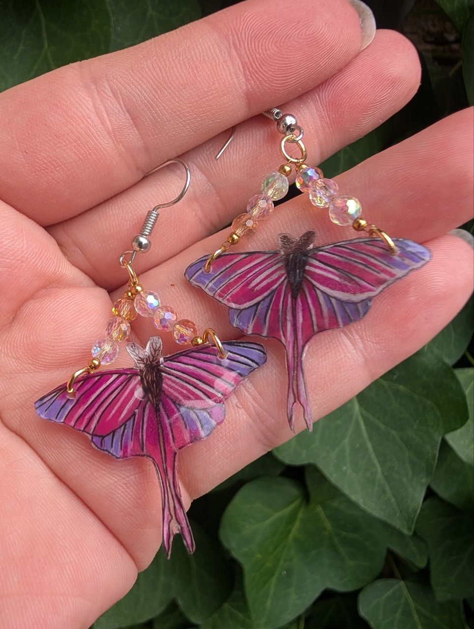 Papillon Moth rose