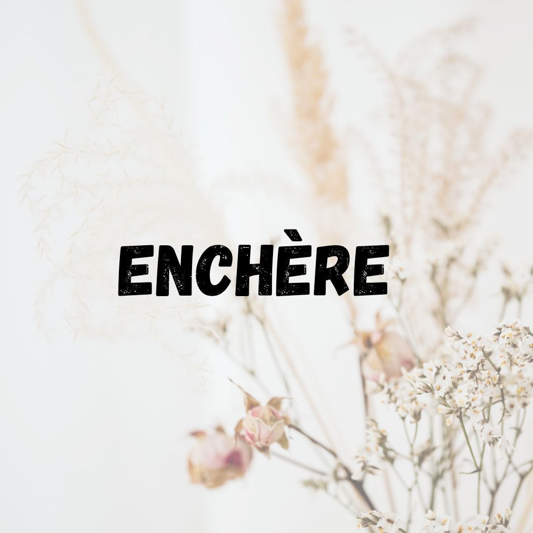 Enchère 22.06.25  - Danielle H