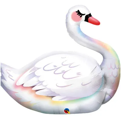 Swan