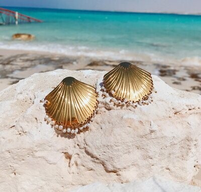 Seashell pearl earrings