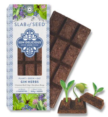 Gin herbs- slab of seeds