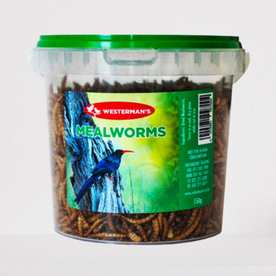 Mealworms 150g