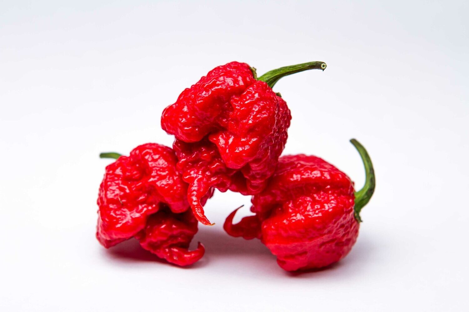 Carolina Reaper - Seeds (10)