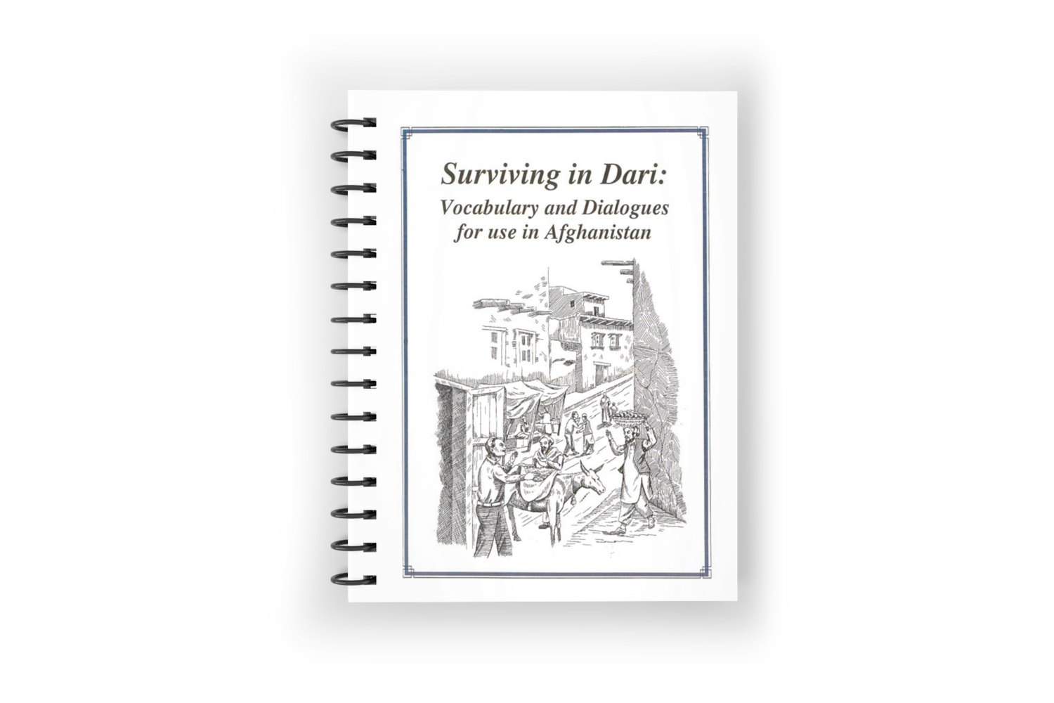 Surviving in Dari: Vocabulary & dialogues for use in Afghanistan