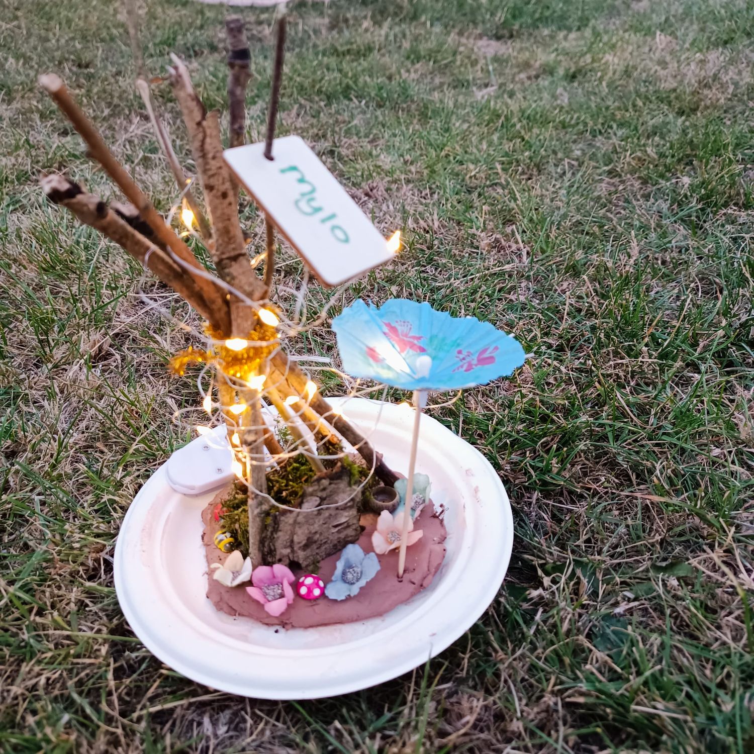 Add on - Electric  (supply in your tent)