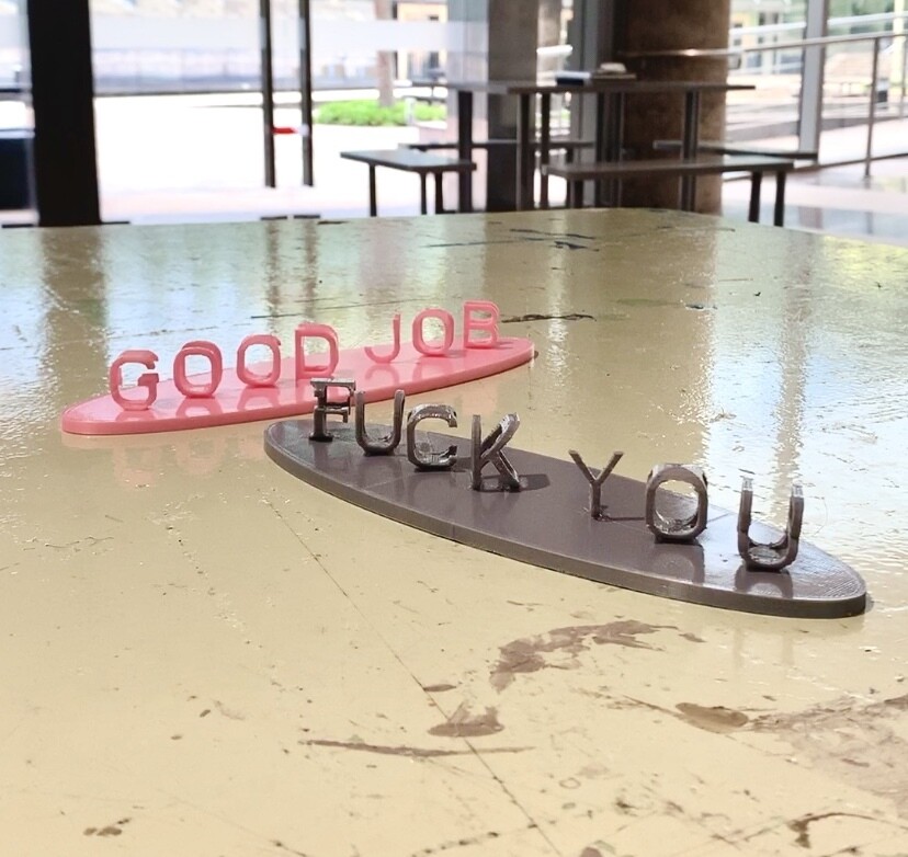 Good Job, Fuck You