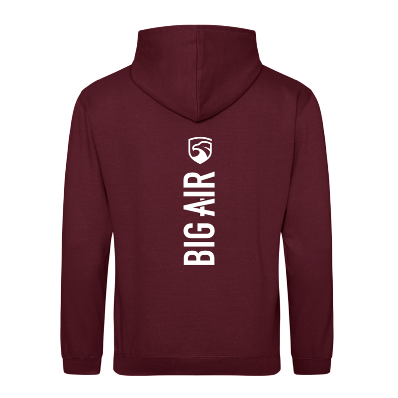 Spine Series Hoodie - Burgundy