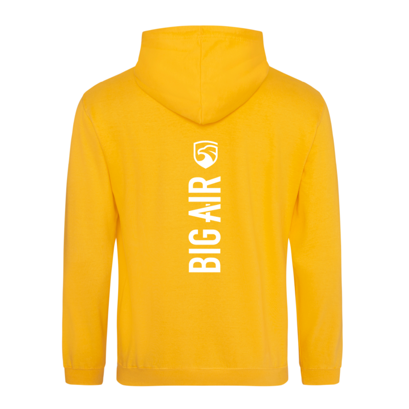 Spine Series Hoodie - Gold