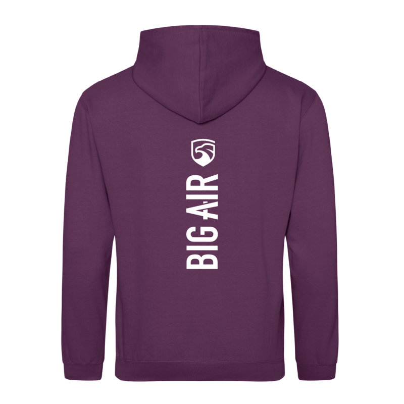 Spine Series Hoodie - Plum