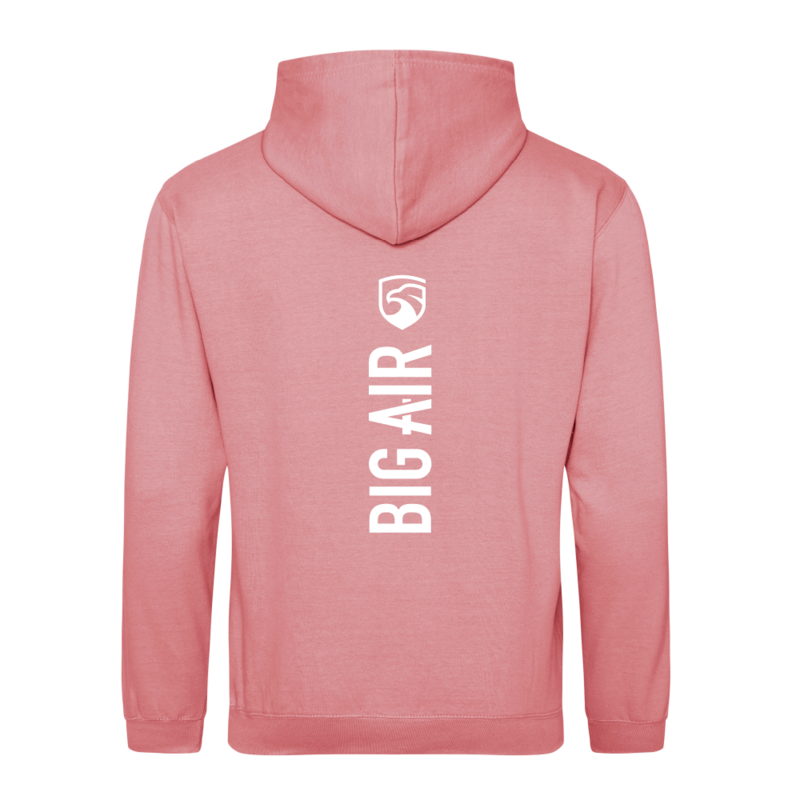 Spine Series Hoodie - Dusty Rose