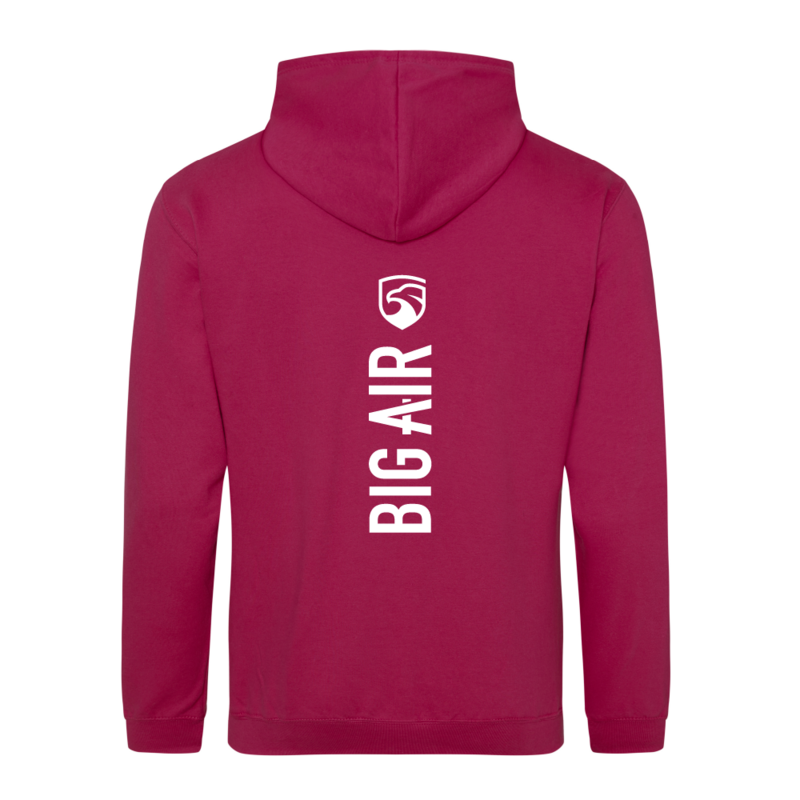 Spine Series Hoodie - Cranberry