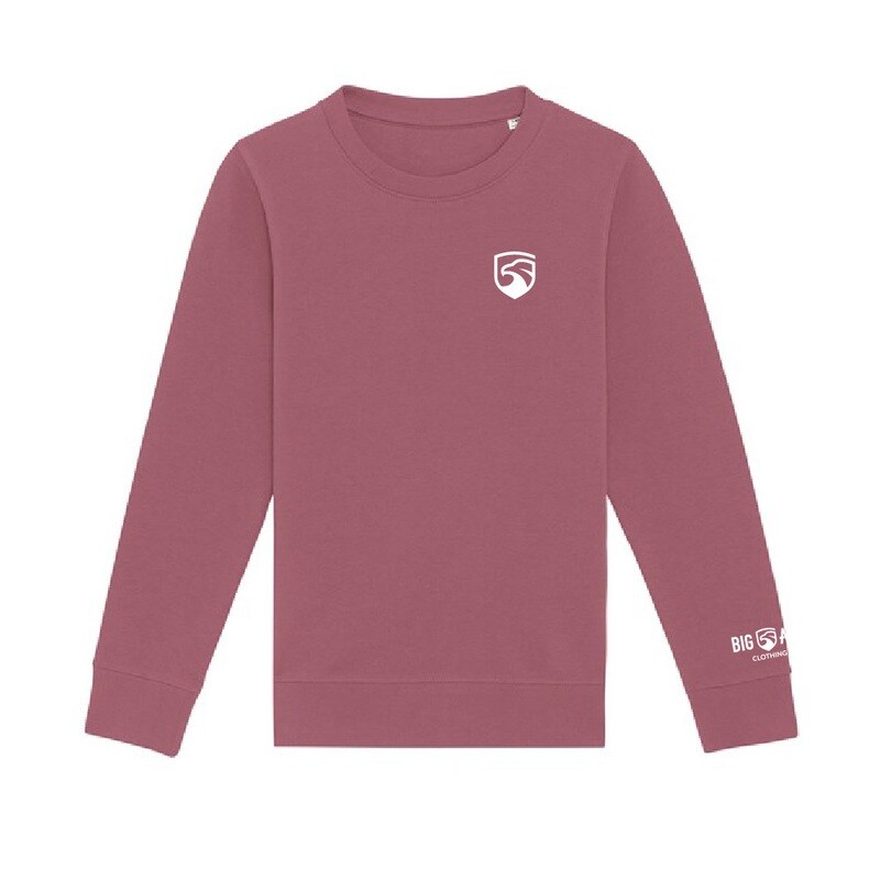 Big Air Kids Premium Colour Sweatshirt