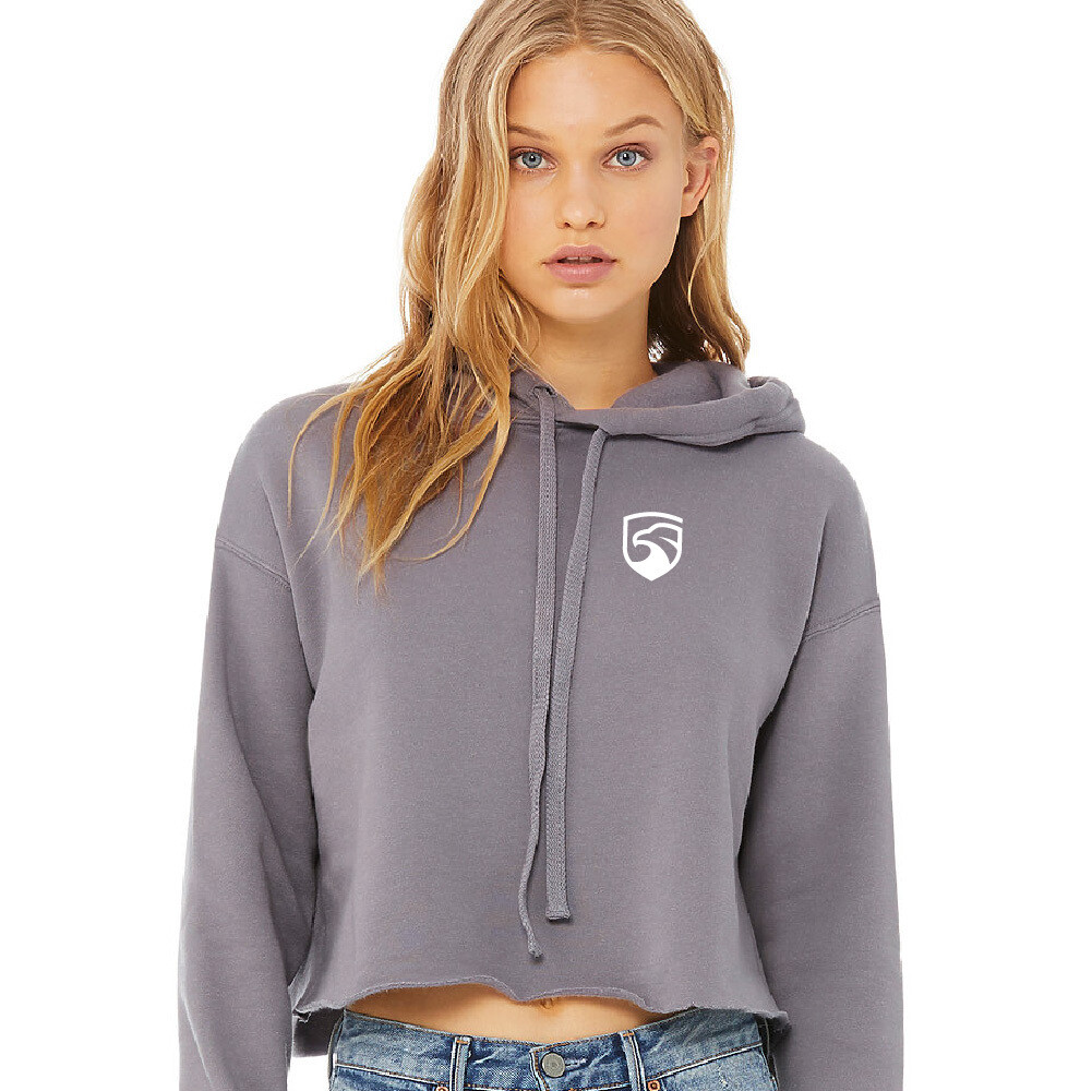 Big Air Cropped Fleece Lined Hoodie