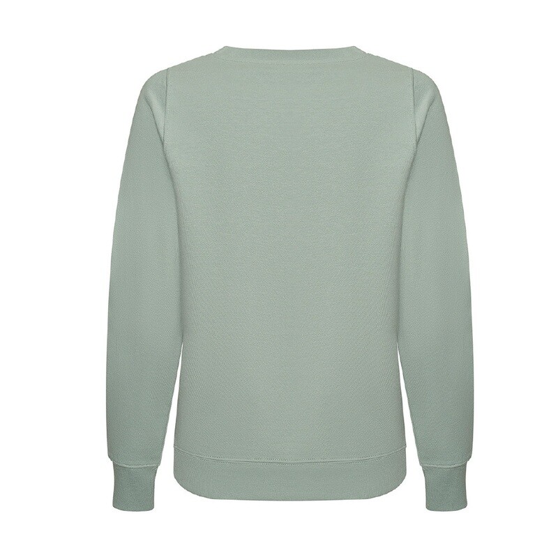 Big Air Standard Sweatshirt Ladies - Icon