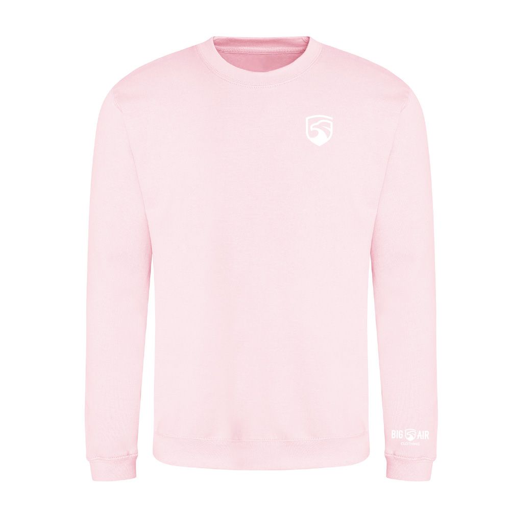 SS24 Standard Sweatshirt Unisex - Icon, Colour: Baby Pink