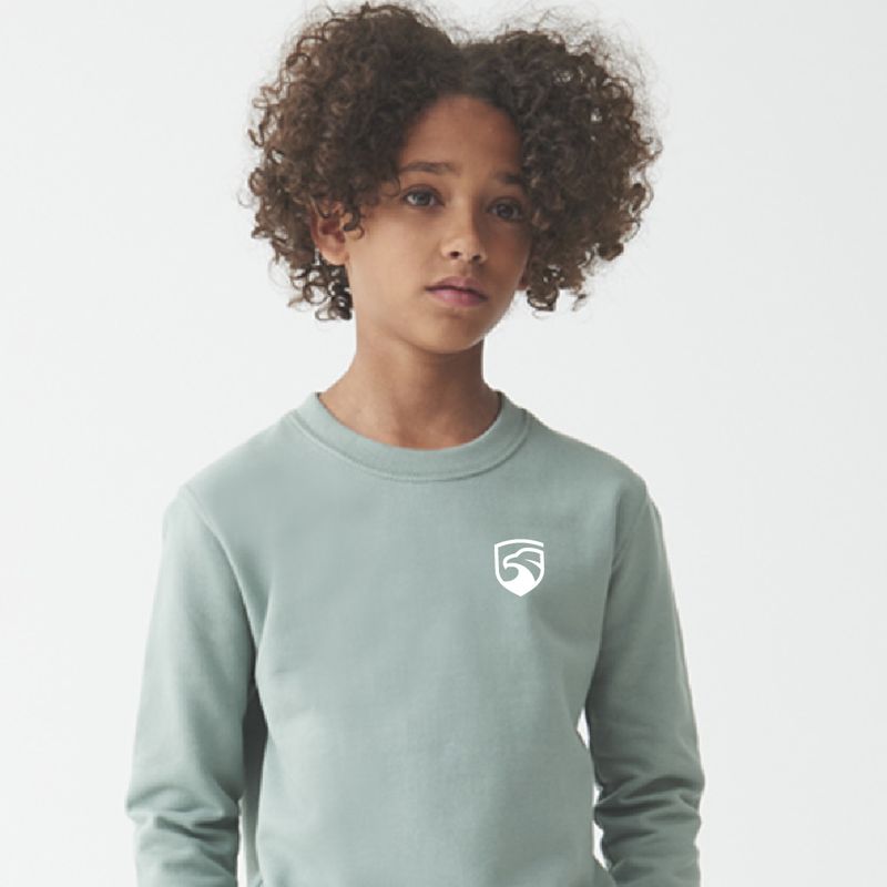 Big Air Standard Sweatshirt Kids - Icon