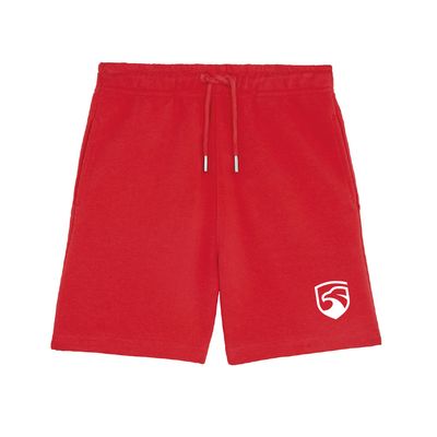 Big Air Summer Set - Shorts