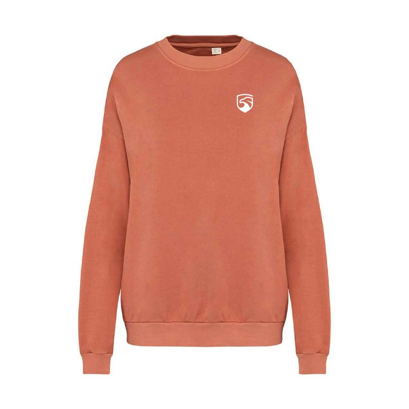 SS24 Oversized Unisex Sweatshirt (with Spine Print)