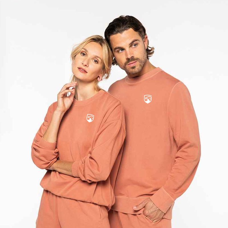 SS24 Oversized Unisex Sweatshirt (with Spine Print)