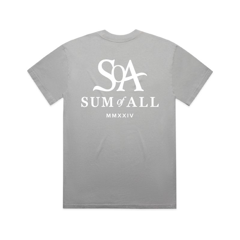 Sum of All Heavy Faded T-Shirt