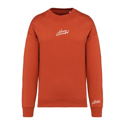 Never Grounded Oversized Sweatshirt Never Grounded Oversized Sweatshirt