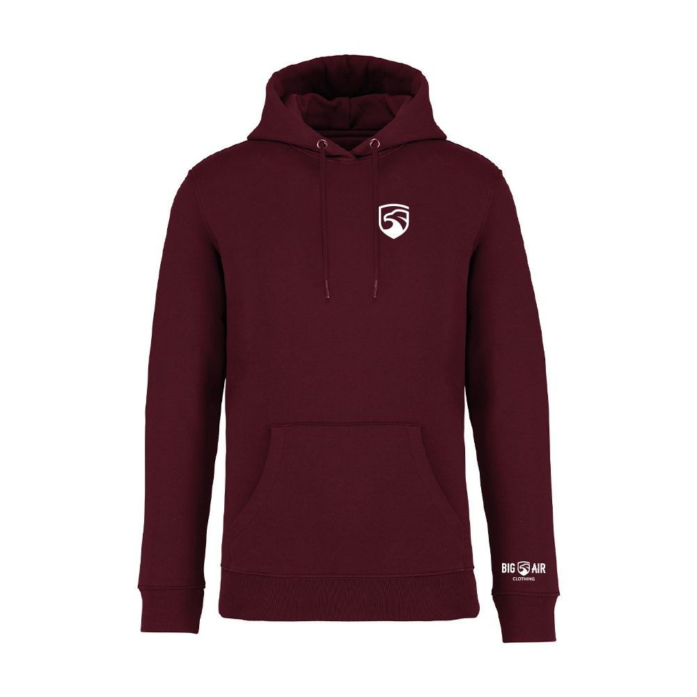 Big Air Heavyweight Organic Hoodie - Icon Only