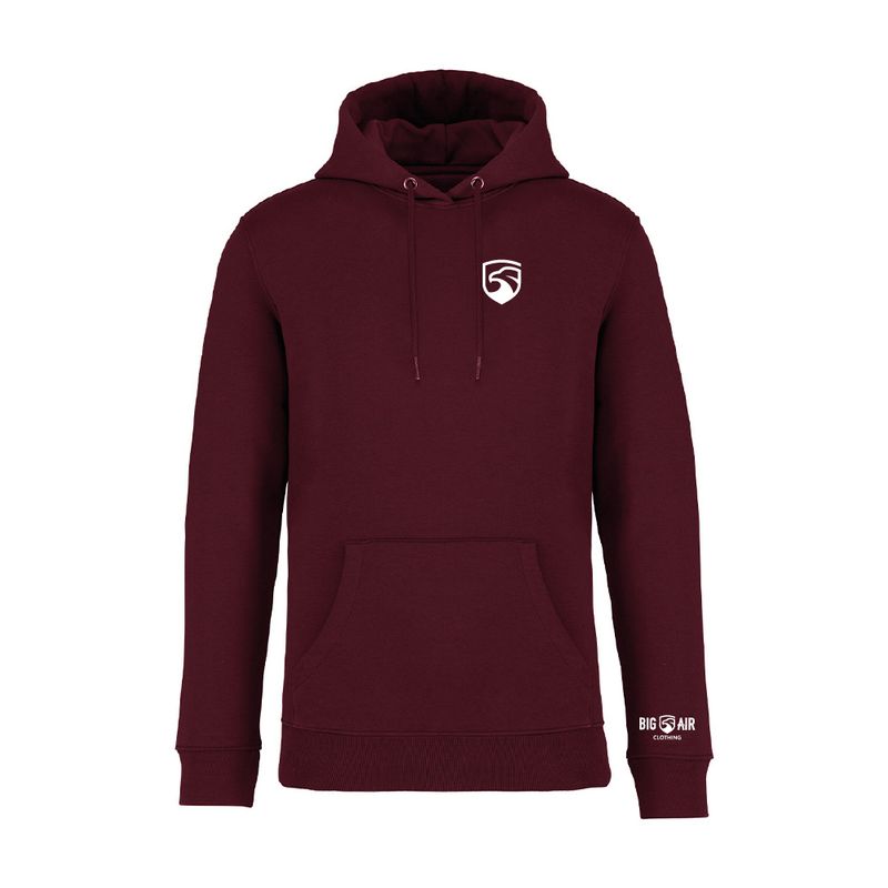 Big Air Heavyweight Organic Hoodie - Icon Only