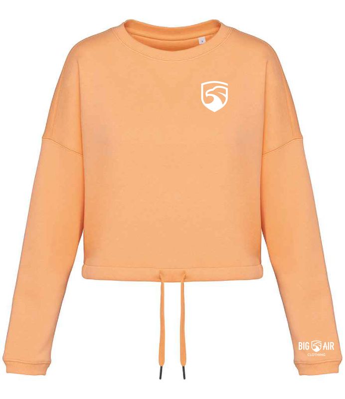 Big Air Oversized Cropped Sweatshirt (with Back Print)