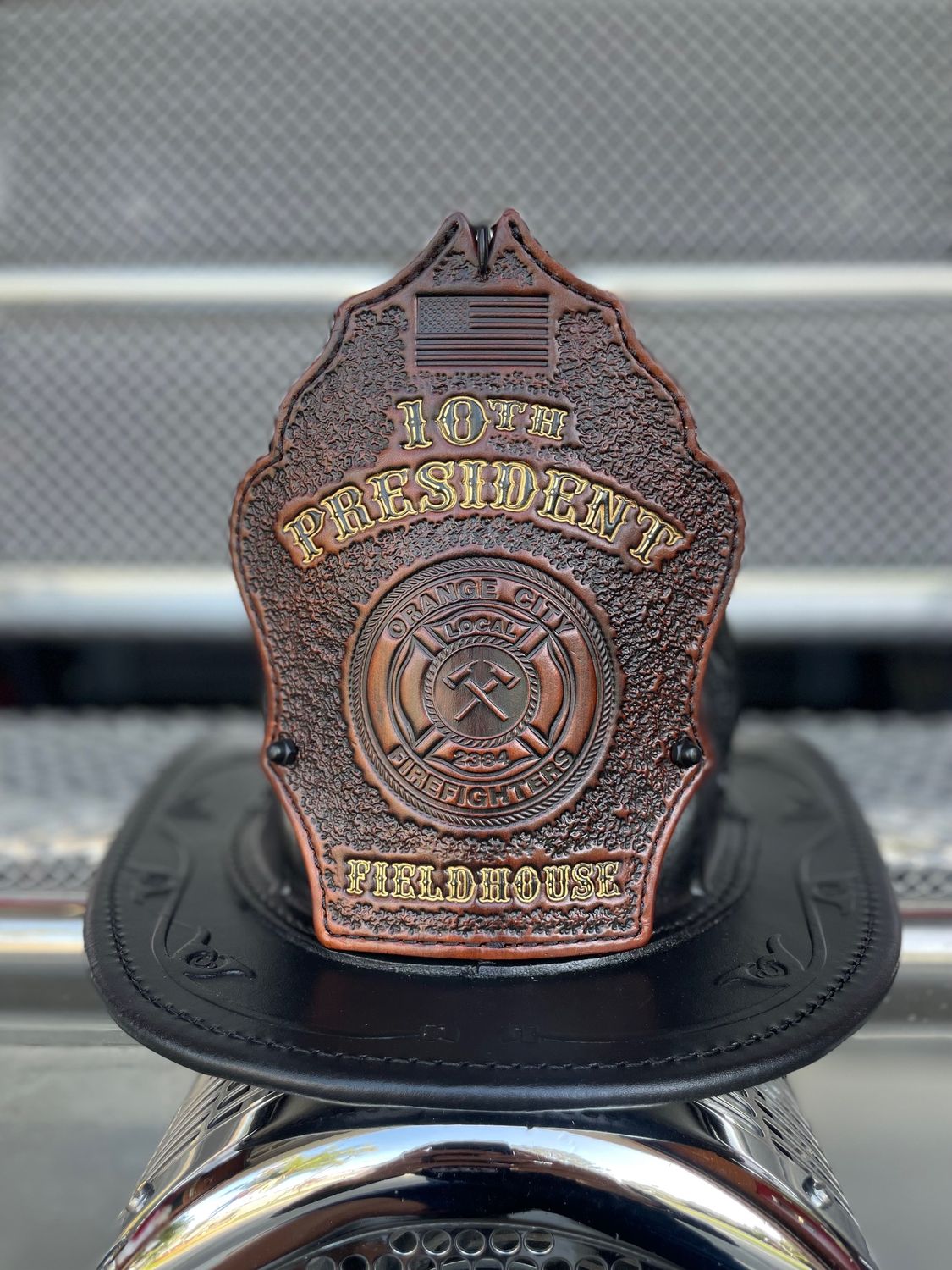 Custom Helmet Shield