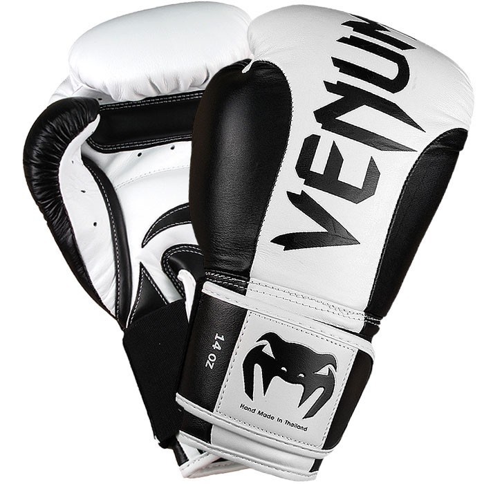 Venum Absolute Boxing Gloves