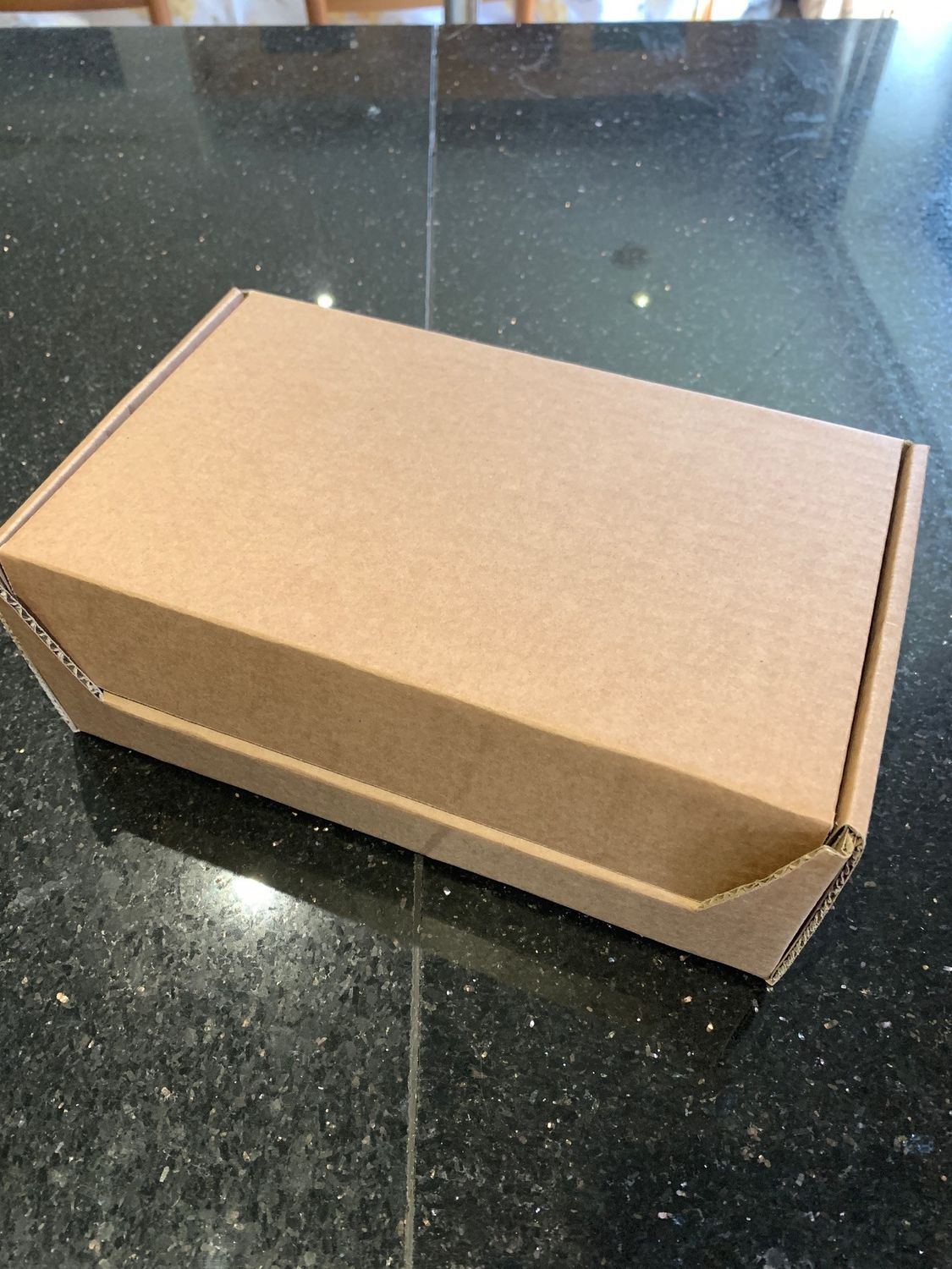INSERT for Sega Nomad