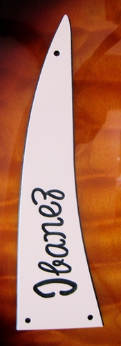 Ibanez 2388 Truss Rod Cover (Rick bass and Rick Guitar)
