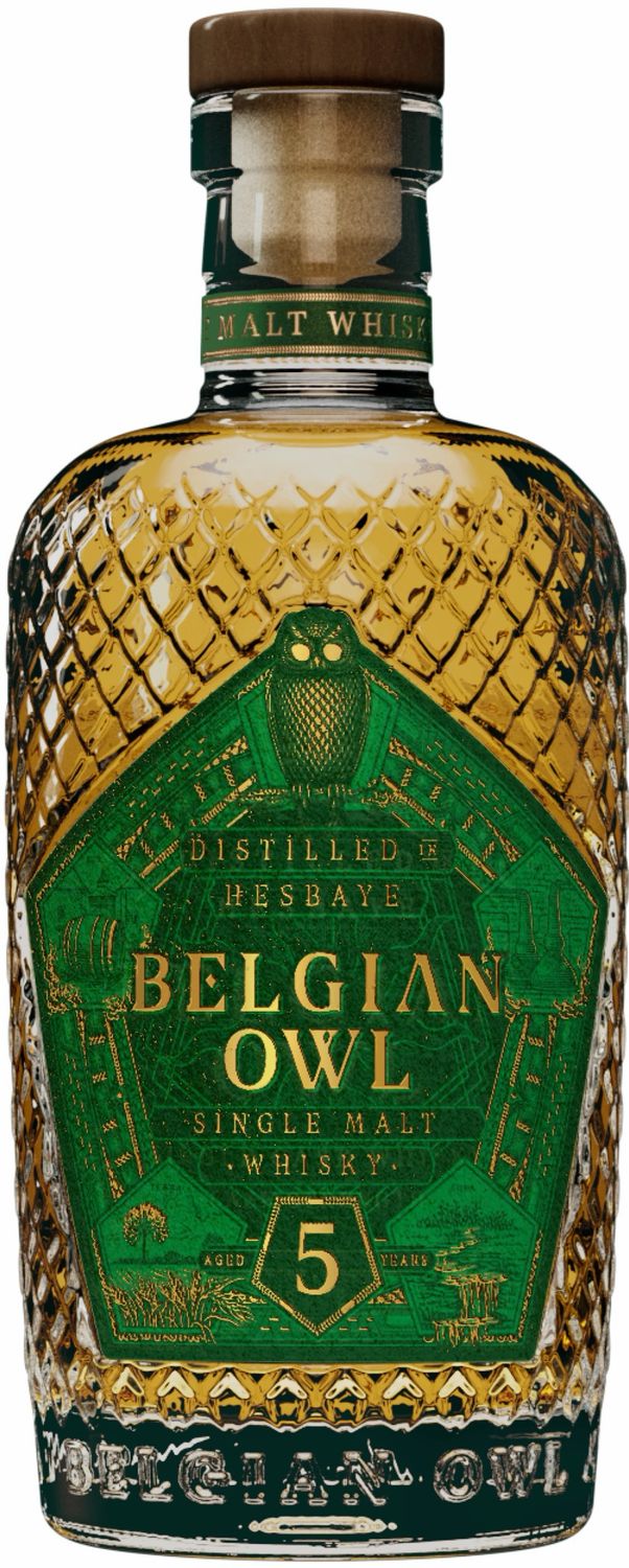 Belgian Owl 5y