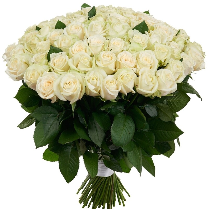 BALTAS ROZES 70 SM