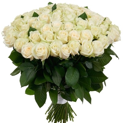 BALTAS ROZES 70 SM