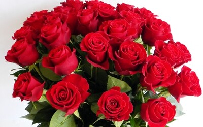 SARKANAS ROZES 60 SM