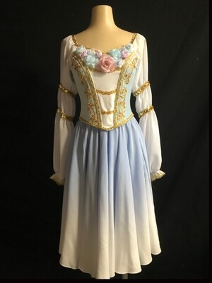 Ballet Dress - Floral & Gold Dress