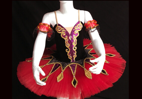 Ballet Tutu - Stage ballet tutu