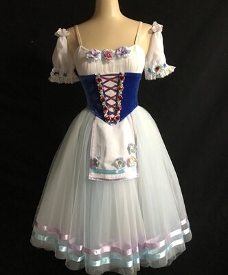 Royal Blue Velvet Ballet Dress