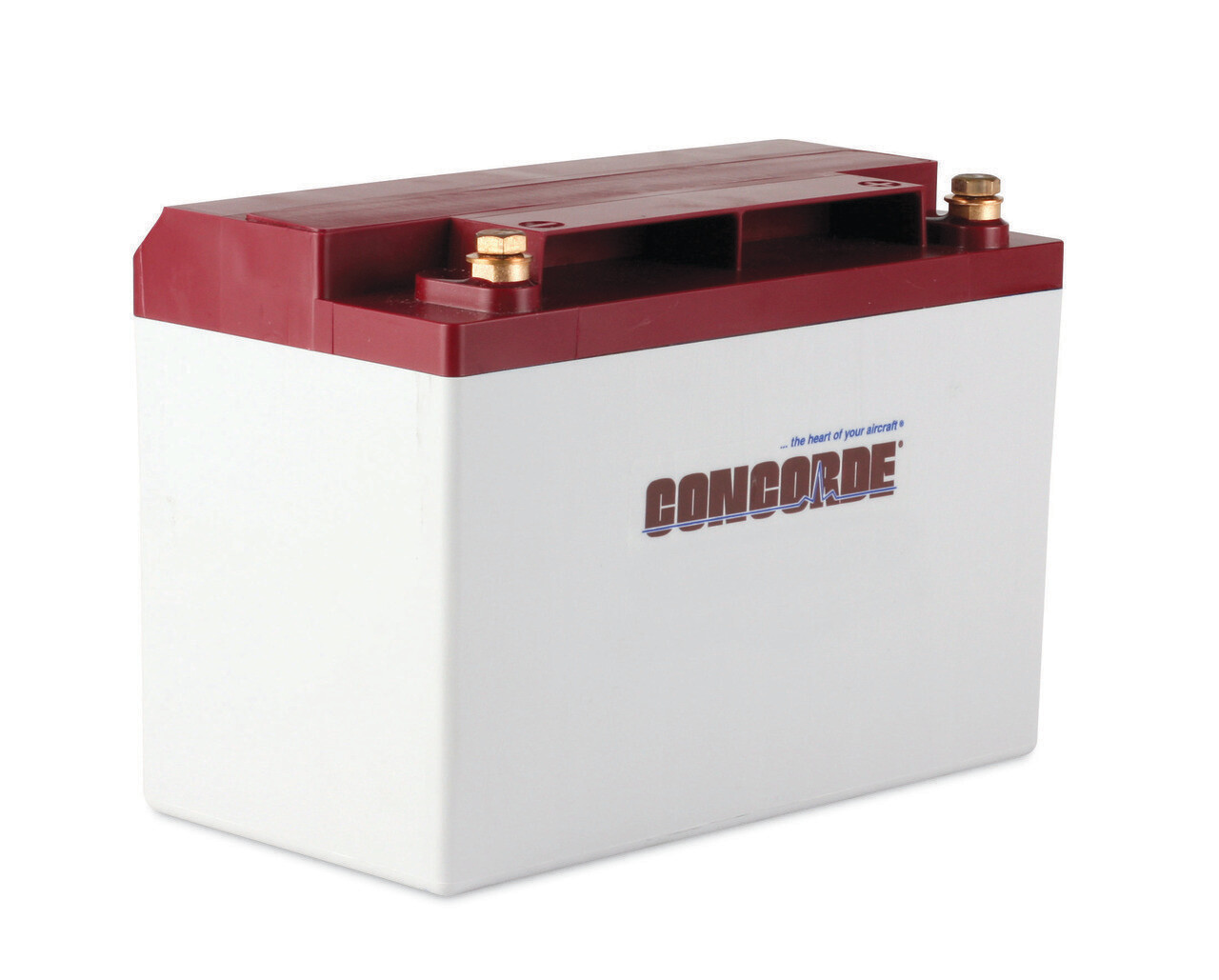 RG35A - Concorde® Battery, 12V, 29.0 Ah (RG-35A)
