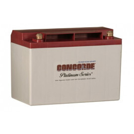 RG25 - Concorde® Battery, 12V, 22.0 Ah (RG-25)