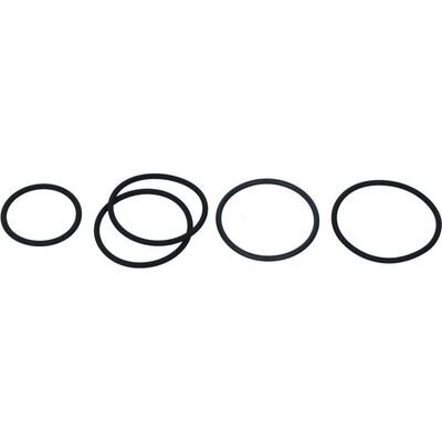 O-Ring Kit, 5 Pieces, L000-S902-XXX