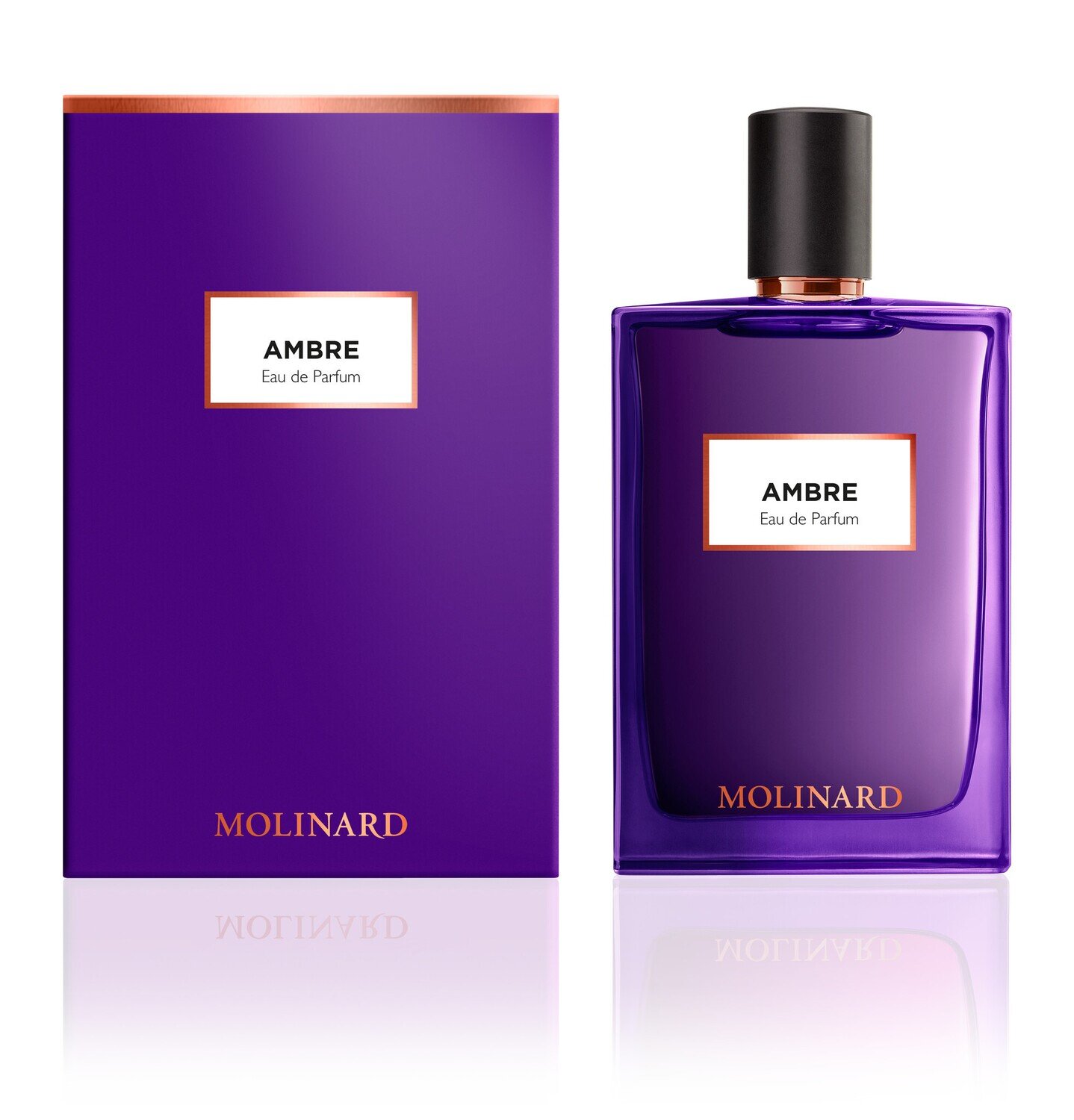 Ambre Ambre