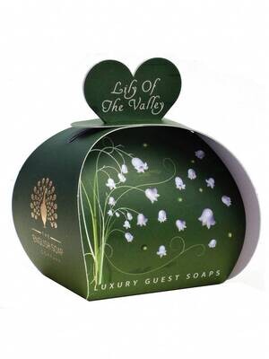 Lily Of The Valley Gastzeep Lily Of The Valley Gastzeep