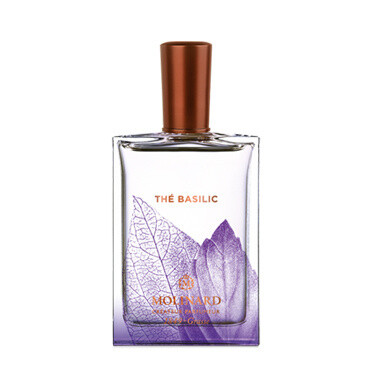 Thé Basilic