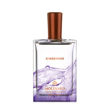 Gingembre